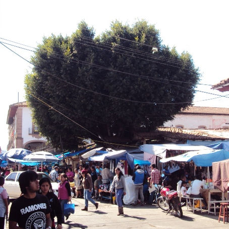 REPORTAN CONSTANTES FUGAS DE GAS EN LA EXPLANADA DEL MERCADO MUNICIPAL