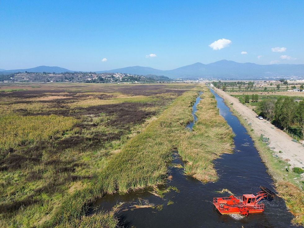 Inicia la rehabilitación estratégica del canal de Jarácuaro en el lago de Pátzcuaro