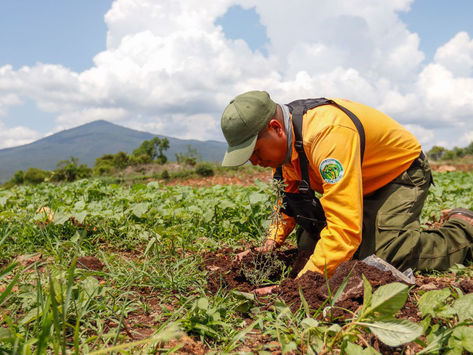 En Michoacán se protege la flora y fauna en la obra pública: Rogelio Zarazúa