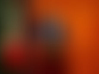 Juezas y jueces deben actuar siempre con ética y apego a la Constitución: Gama Coria