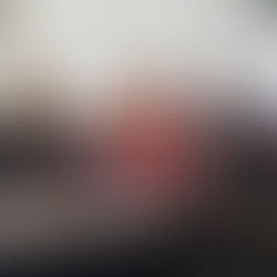 PRIÍSTAS PATZCUARENSES SE AGRUPAN Y ANUNCIAN APOYOS PARA EL CAMPO