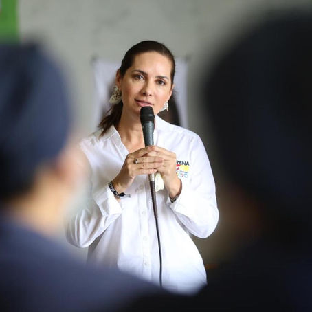 Legislará Macarena para reducir la inseguridad de Michoacán y México