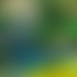 Realizarán “Canotaje por la Paz” en la Isla de Urandén