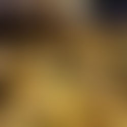 DENUNCIAN TIRADERO DE BASURA EN PLENO CENTRO HISTÓRICO DE PÁTZCUARO