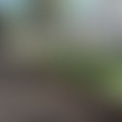 PÁTZCUARO Y SEIS MUNICIPIOS MÁS DE MICHOACÁN ESTÁN EN BANDERA AMARILLA POR COVID-19