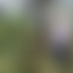 LLAMAN A PRESERVAR EL CERRO HUECO EN TACÁMBARO