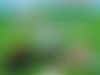 Tec de Pátzcuaro abre carrera en Ingeniería en Agronomía para contribuir con desarrollo rural