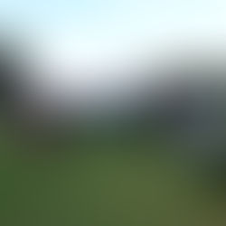 JUGADORES DE LA LIGA MUNICIPAL DE FUTBOL SE DICEN INCONFORMES POR LA FALTA DE ENTREGA DE TROFEOS