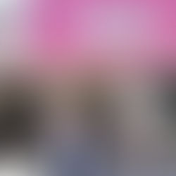 INE REALIZA CONFERENCIA SOBRE LOS DERECHOS PUEBLOS INDÍGENAS