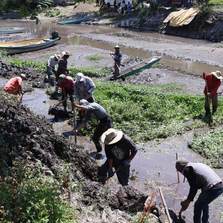 Anuncia Bedolla mil empleos temporales para rescatar el lago de Pátzcuaro