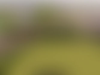 Parque Industrial Bajío, primer Polo del Bienestar en formalizar su desarrollo: Sedeco