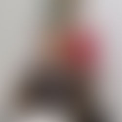 Julio Arreola participa en Mesa de Trabajo nacional para fortalecer la seguridad en los municipios