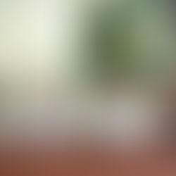 DIAGNÓSTICO DE CÁNCER SE DA EN DOS DE CADA OCHO PACIENTES QUE PRESENTAN INFLAMACIÓN DE PRÓSTATA