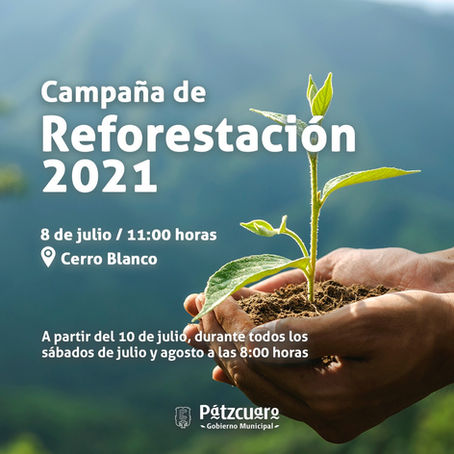 EL AYUNTAMIENTO DE PÁTZCUARO INVITA A PARTICIPAR
EN LA CAMPÁÑA DE REFORESTACIÓN 2021