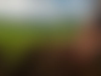 Microorganismos nativos: la ciencia de la UNAM abre una ruta hacia una agricultura más sustentable en Michoacán
