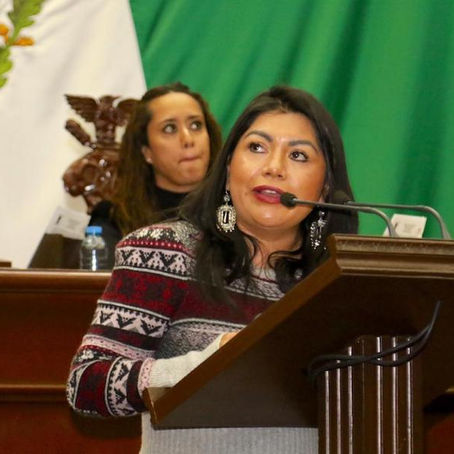 Armonizar la Ley para conservar archivos públicos: Brenda Fraga