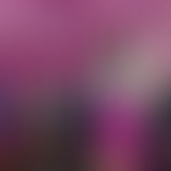 Nuevo mercado de Pátzcuaro con un 20% de avance: Sedum