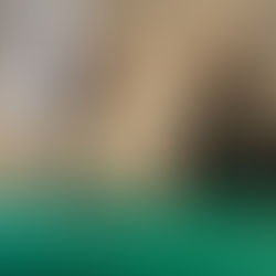 TOMARSE LA PRESIÓN ARTERIAL SALVA LA VIDA