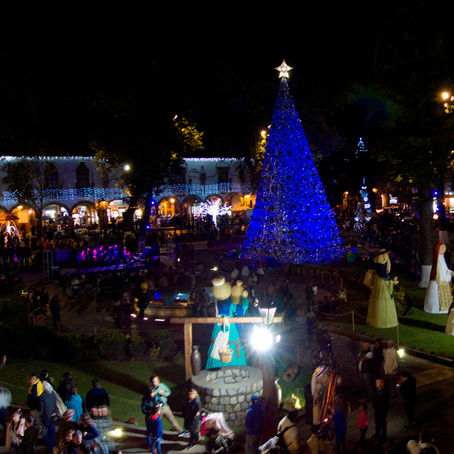 ENCENDERÁN ÁRBOL MONUMENTAL NAVIDEÑO EN PÁTZCUARO ESTE SÁBADO 14 DE DICIEMBRE