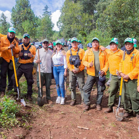 Dayana Pérez encabeza el arranque de la campaña “Reforestando Salvador Escalante”
