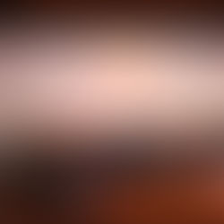 Se realizó la Clausura de la XII edición del Festival Internacional de Cine Fantástico