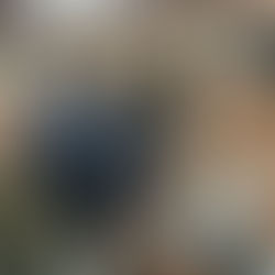 Julio Arreola reconoce heróica labor del Ejército Mexicano para construir la paz