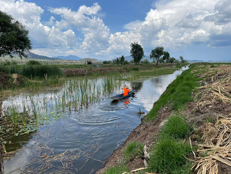 Recuperar manantiales, clave para salvar el Lago de Pátzcuaro y fortalecer el turismo sustentable