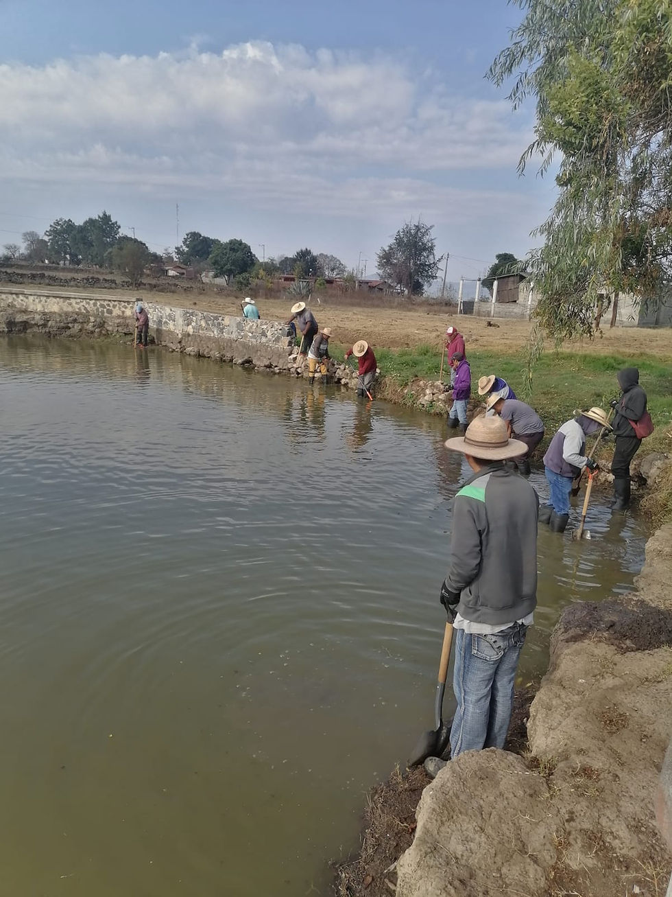 Con obras de conservación, Programa de Empleo Temporal blinda al lago de Pátzcuaro