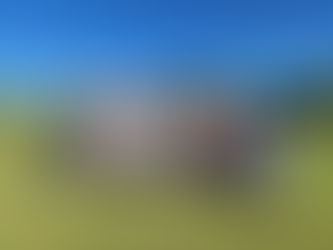 Pumas sigue haciendo historia; gana el trofeo de Campeón de Campeones en Pátzcuaro