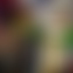 ROBAN DOS LOCALES MÁS AL INTERIOR DEL MERCADO MUNICIPAL