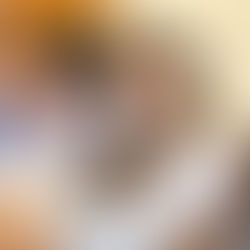 Urge transparencia en Censo de Bienestar federal: Araceli Saucedo