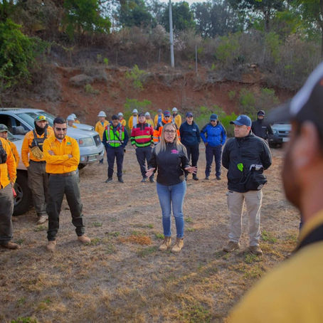 Dayana Pérez reporta control del incendio forestal y refuerza acciones de prevención en Salvador Escalante