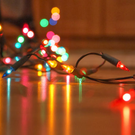 EXHORTA PVEM A DISMINUIR EL USO DE LUCES NAVIDEÑAS EN ESTA TEMPORADA