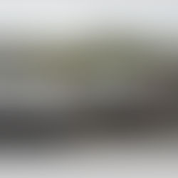 NIEGA SÍNDICO MUNICIPAL ESTAR INVOLUCRADO EN EL PROBLEMA DEL TRANSPORTE