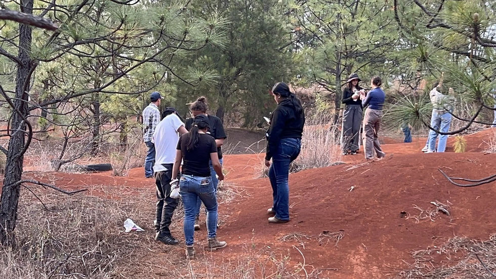 Estudiantes del ITSPA fortalecen su formación ambiental con visita al Parque Ecológico La Planta