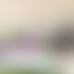 Pátzcuaro será sede de encuentro de productores mezcaleros