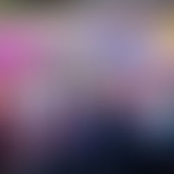 Dayana Pérez refrenda respaldo a la defensa de la soberanía nacional