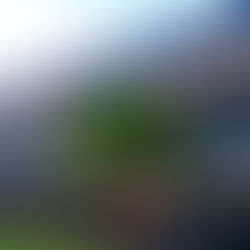 Vinculan a proceso a presunto responsable de robo a casa habitación, ocurrido en Pátzcuaro