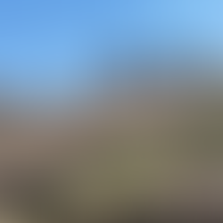 En cateo, asegura Fiscalía General predio relacionado en delitos Contra el Ambiente en Yuretzio