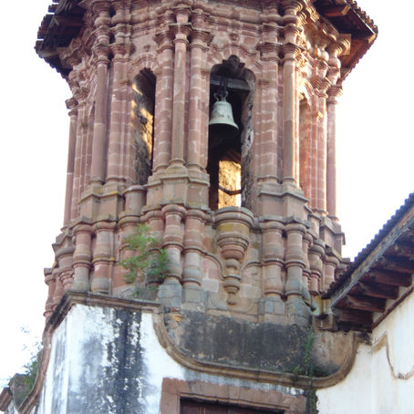 CRECIMIENTO DE RAMA DE FRESNO PODRÍA DAÑAR LA TORRE DE LA BIBLIOTECA PÚBLICA GERTRUDIS BOCANEGRA
