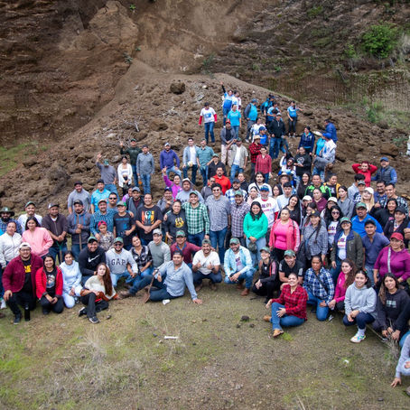 Con Jalo a Reforestar, jóvenes plantan más de 10 mil pinos en Zinapécuaro: Ijumich