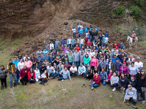 Con Jalo a Reforestar, jóvenes plantan más de 10 mil pinos en Zinapécuaro: Ijumich