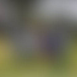 LUPILLO RAMÍREZ GESTIONA UNIDAD DEPORTIVA IHUATZIO