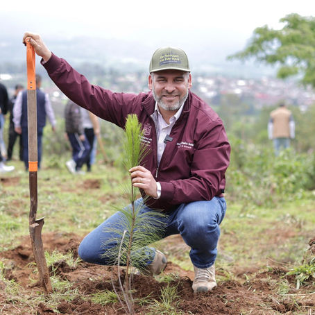 Michoacán impulsa reforestación histórica para recuperar el lago de Pátzcuaro: Bedolla