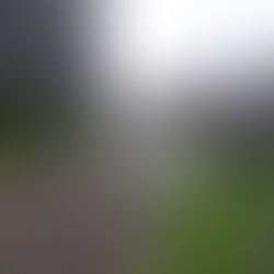 JAMUQUEN: UNA COLONIA EN EL ABANDONO