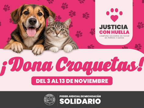 Poder Judicial de Michoacán inicia “Justicia con Huella” campaña solidaria en favor de perros y gatos