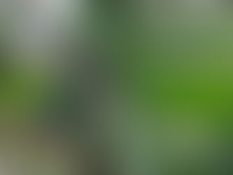 Anuncia Conagua Michoacán proyecto integral para el rescate del río Guani en Pátzcuaro