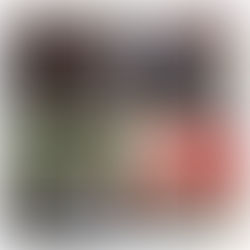 Impulso de los jóvenes prioridad para el GPPRD en el Congreso del Estado