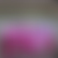 Michoacán reporta 2,587 nuevos casos de cáncer de mama en lo que va del 2025