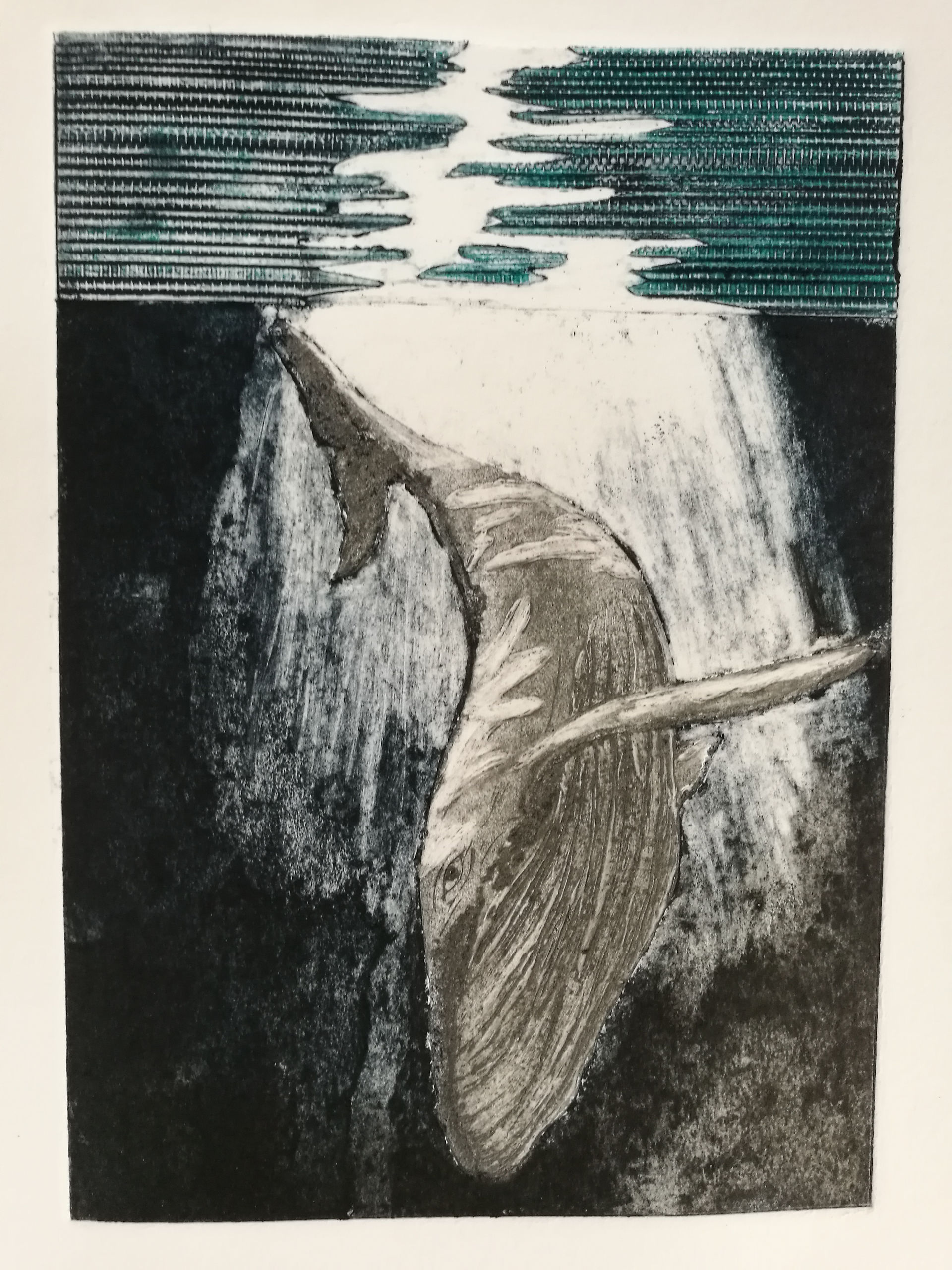 collagraph HesterCox June 2018 (10)